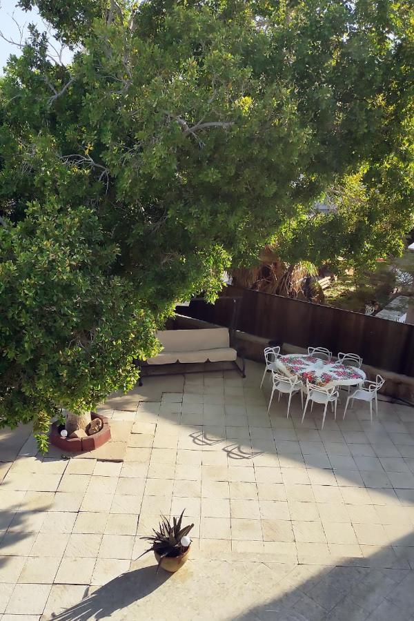 Guest House "Villa Klara Eilat" Heated Pool And Sauna All Year Round Exteriör bild